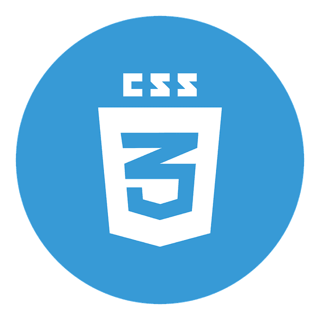 css-logo